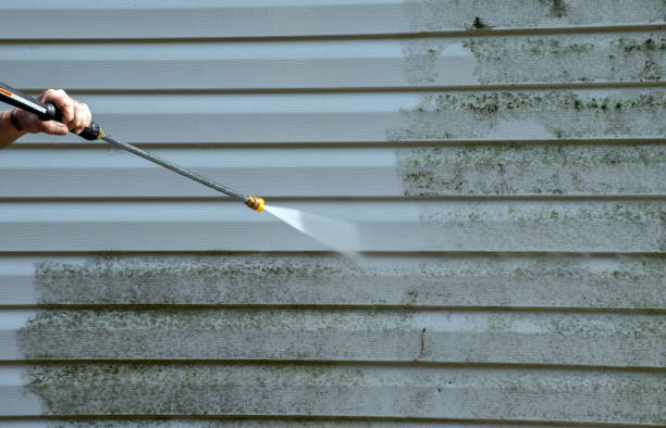 Best Brick and Stone Cleaning in Round Rock, TX
